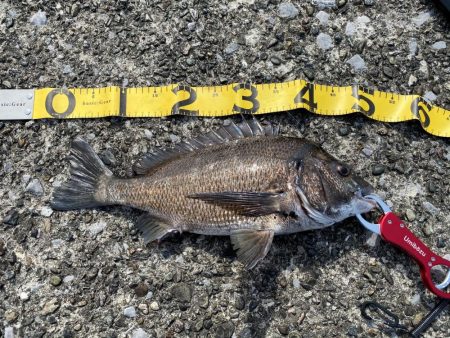 ダメ元で行ったら・・・